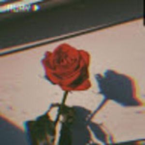 Meet your Posher, Mo